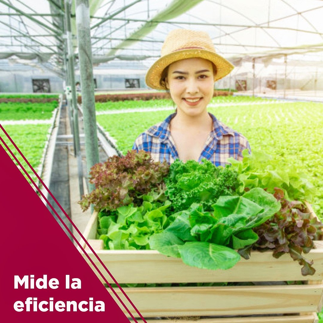 Alcofin's tweet image. Con nuestra solución agrícola de campo te ahorrarás mucho tiempo y recursos en medir la eficiencia de tus trabajadores y convertirla en nómina en cuestión de segundos.
.
#NoPierdasElTiempo #SoftwareDeCampo #Tiempo #Eficiencia #Nómina