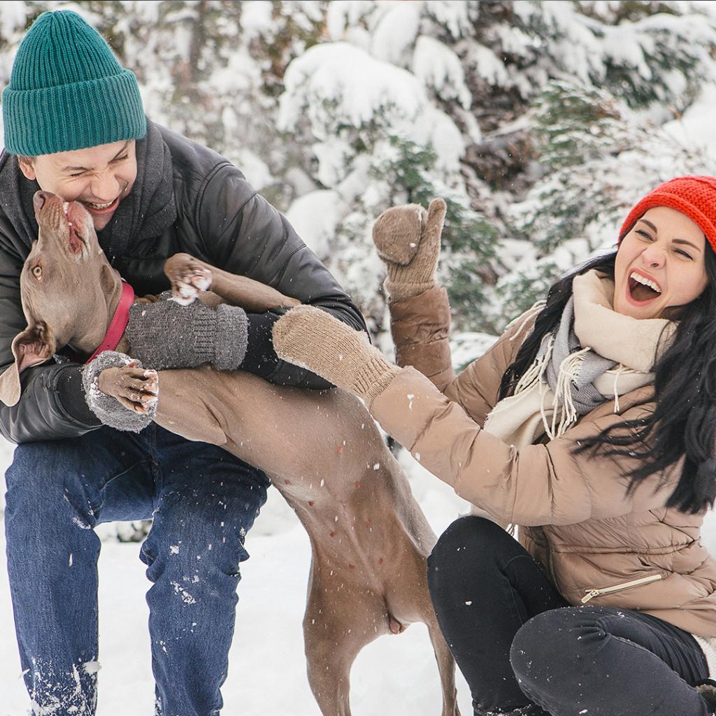 Banfield's tweet photo. Never underestimate the warmth of a wet nose.
#banfieldhere #DogsOfBanfield #bdog #bwarm #bfun #bhere https://t.co/41iqtD2rbc