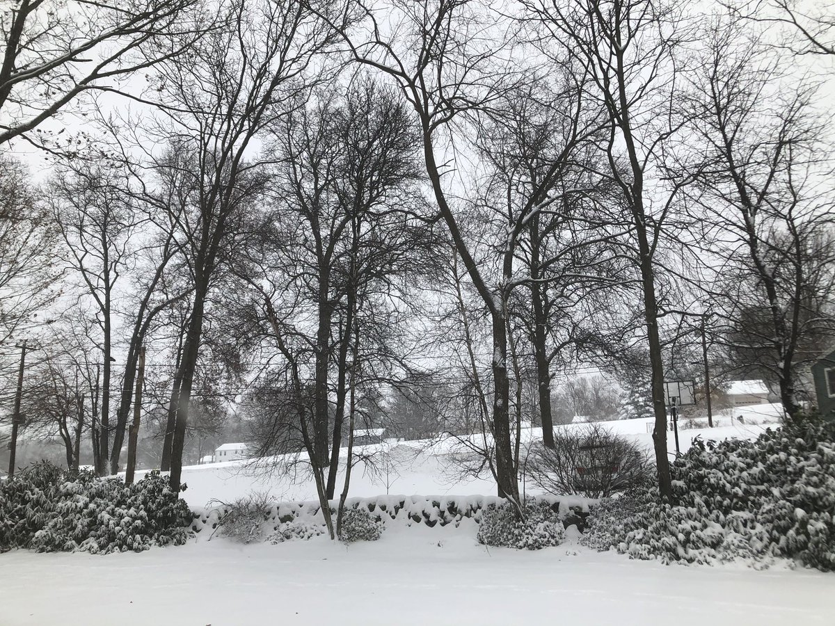 Morning backyard like this, makes me so much nostalgic about Kashmir.
#naturalmassachusetts #Boston #snowday