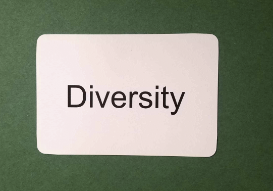 HuMetricsHSS's tweet photo. Today's Daily Value is diversity. What does diversity look like to you? How are you going to embody it in your work today, or how can you see it embodied around you? How does quality interact with other values, such as respect, privacy, and community? #DailyValues https://t.co/8B8CFtMB9s