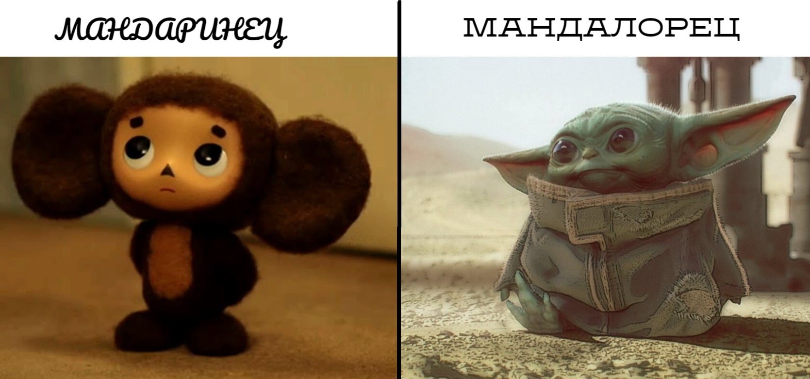 EKz9GtTW4AAasPr?format=jpg&name=large