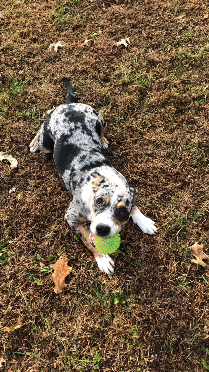 Brooke112_'s tweet photo. How cute is my baby girl https://t.co/M7nuuNsjgt