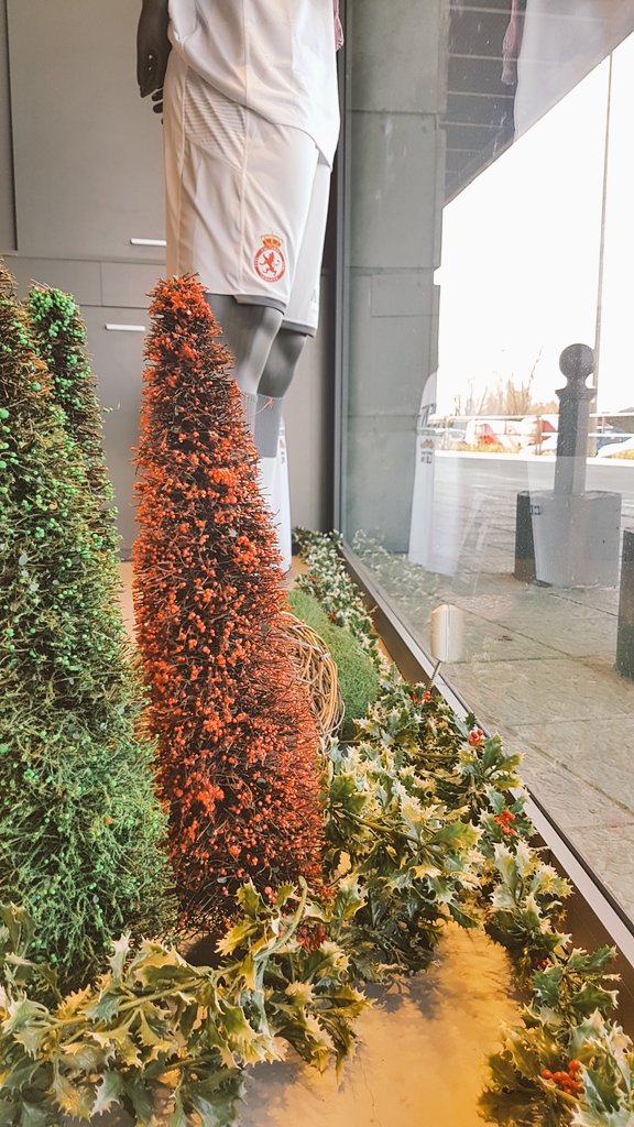 FloresStaMaria's tweet photo. ☃️☃️☃️ Un año más tiñendo de Navidad la tienda de la @CyDLeonesa .
Pasate a verla y aprovecha que siguen de #BlackWeek #leonesp 
❄❄❄❄❄❄❄❄❄❄❄❄❄ https://t.co/rUQbgSfRcz