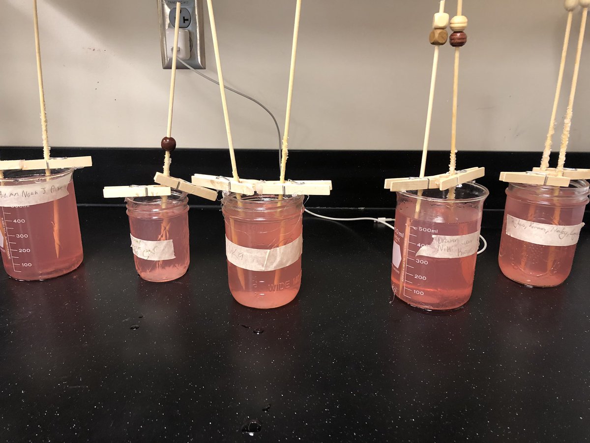 aharrington25's tweet image. Will rock candy form? I guess we will find out #phasechanges 🍭