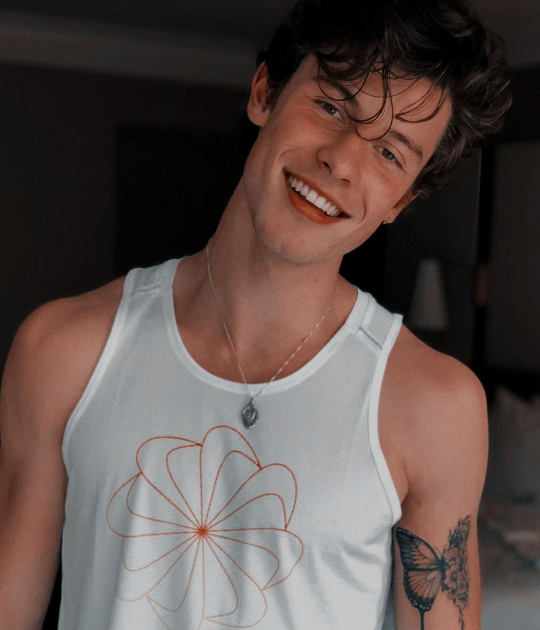 Swift1Jay's tweet image. Shawn Mendes      Shawn Mendes
at the beginning     at the end of 
of the decade         the decade