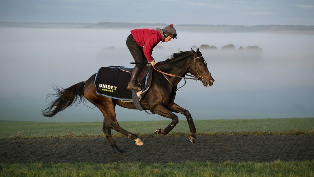 horseandhound's tweet photo. The Liverpudlian who had never sat on a horse 5 years ago, but who now rides one of the most famous horses in the world https://t.co/MLh4sbNBex https://t.co/gW5WPuujNP