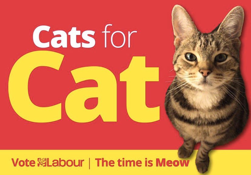 CatSmithMP tweet picture