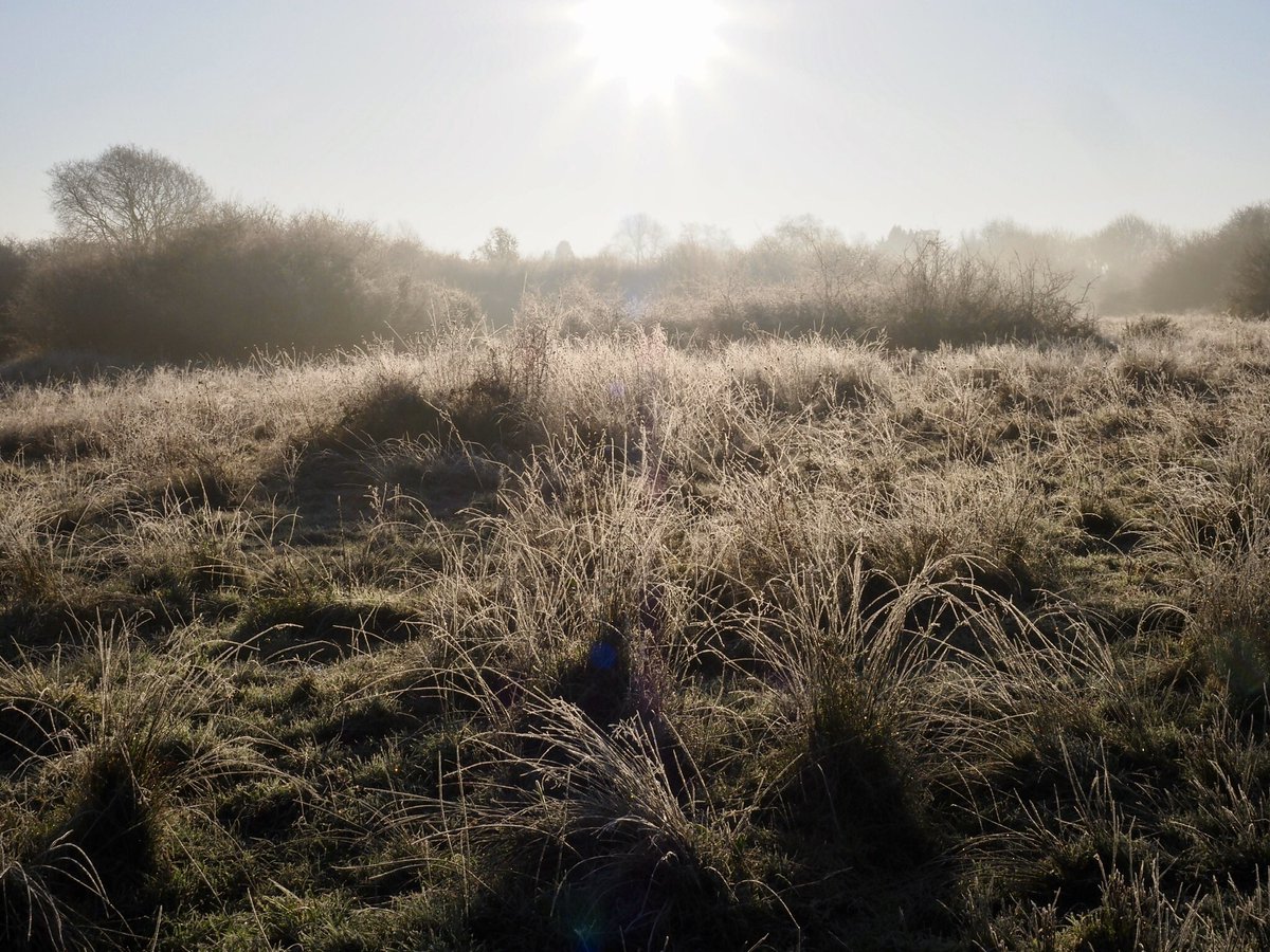 suerob50's tweet photo. Frosty morning on Bookham Common this morning. #frost #winter #BookhamCommon #Surrey https://t.co/wgB8WECbnO