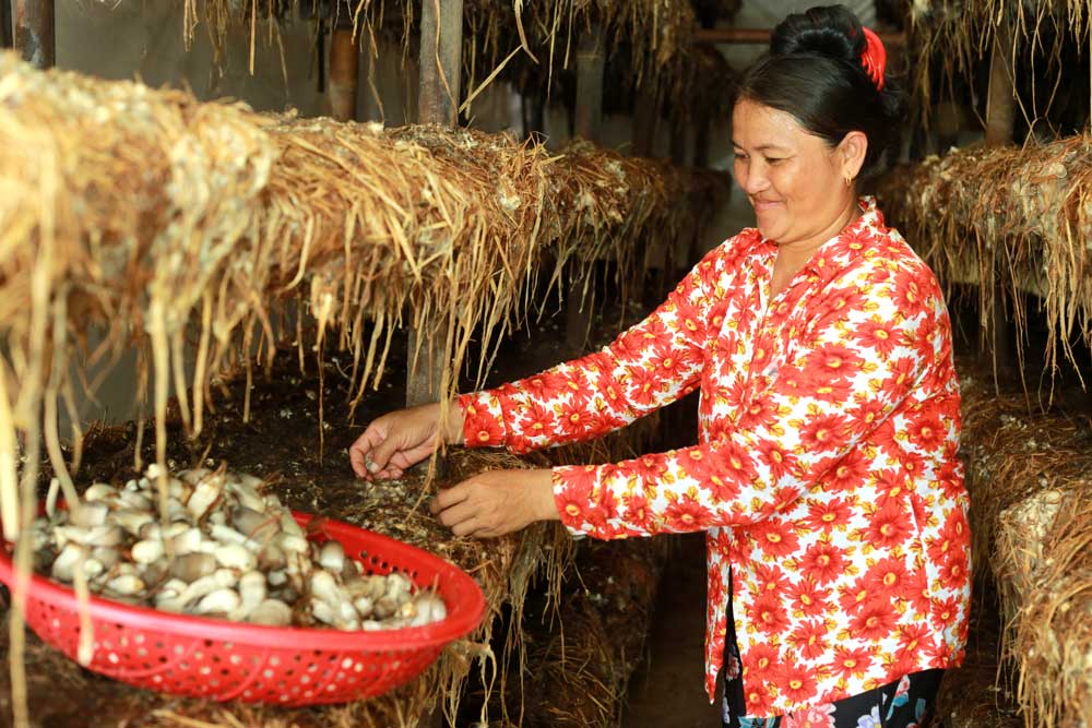 worldhopeorg's tweet photo. Little mushrooms - BIG impact! Mushroom farmers in #Cambodia are able to earn a year-round income through WHI's mushroom program. Thanks to the #FriendshipGrant provided by @dfat, we're able to grow the number of farmers growing mushrooms! https://t.co/QlmuxywWu9 https://t.co/tTpbPEIIUm