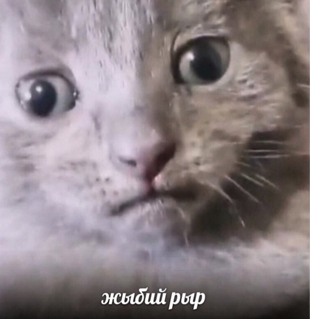 ... думаю что прикольного добавить сюда #xD