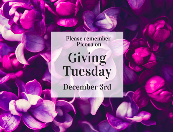 PicosaMusic's tweet photo. Please visit this link to donate, thank you for your generosity! https://t.co/UWv1Rki6Qt
#supportsmallbusinesses #supportmusic #nonprofit #thankyou #GivingTuesday #livemusic #chicagoarts #musicians #arts #chicagomusic https://t.co/VEy28thQyp