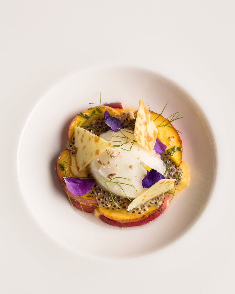 The Apricot Velvet is a heavenly marriage of fresh fruit and silky white chocolate. {white chocolate tuile, basil, lime, tulsi seeds}⁠