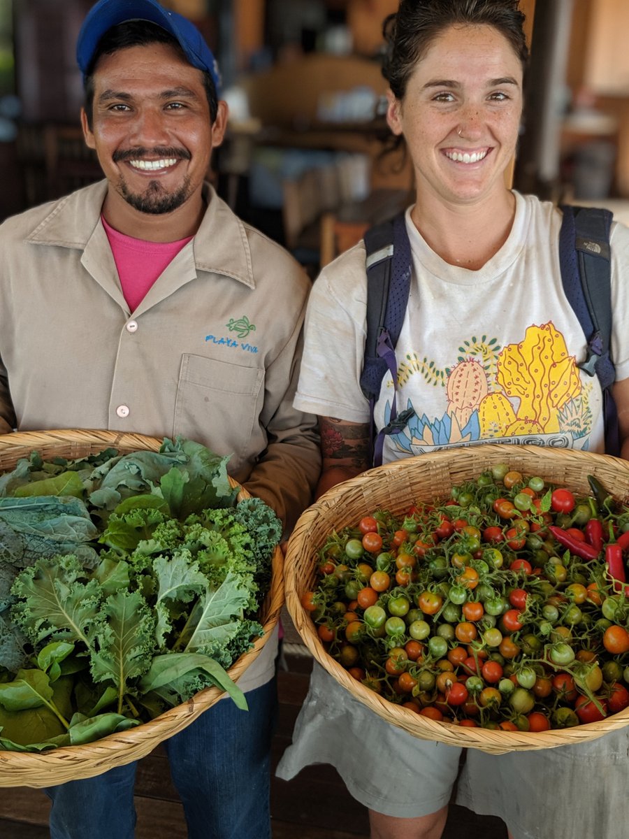 Playa Viva is more than a hotel. It is a project. playaviva.wordpress.com/2019/12/02/cre…