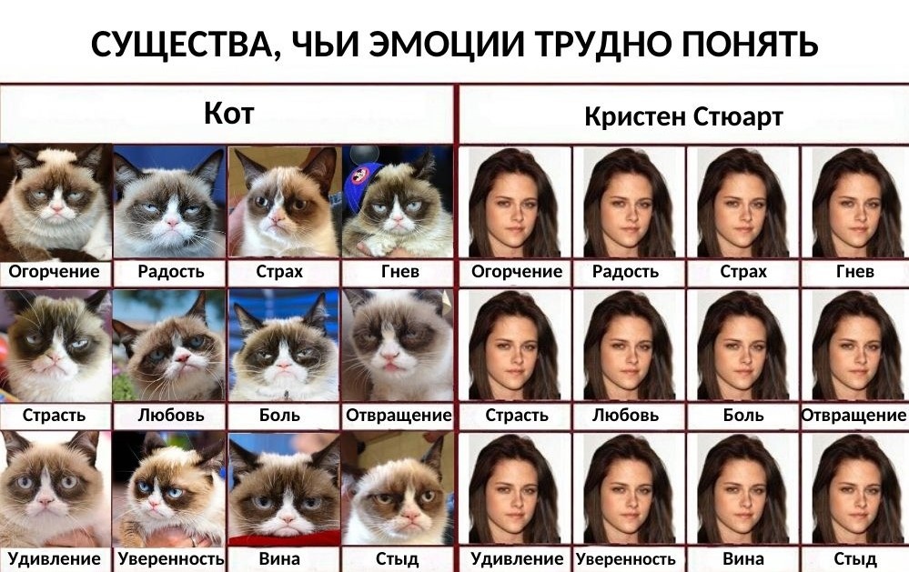 Компьютерра tweet media