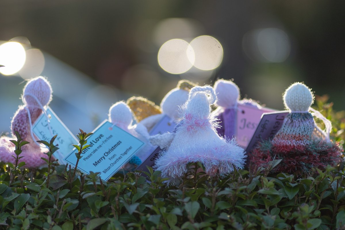 The first knitted angels with a Christmas message are on Bilton Grange URC's hedge along Skipton Road. Please take one home. Hundreds more to follow around Bilton in the next three weeks. 😇
#Christmasangels #Harrogate #ChurchesTogetherinBilton @Harrogateadvertiser