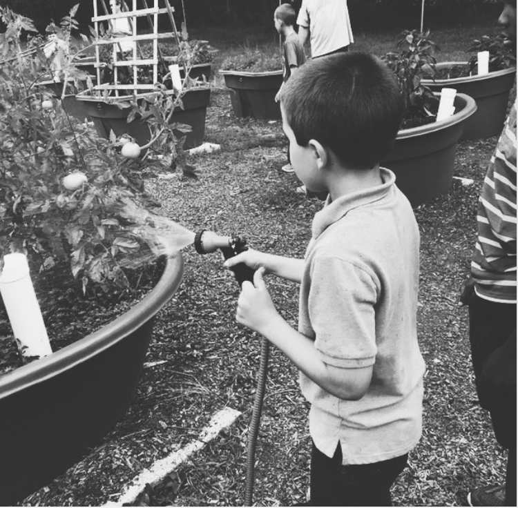 WindwoodFarm's tweet photo. The boys at Windwood Farm are among our most vulnerable youth. Help us celebrate their success on Giving Tuesday. Where some see only trauma, we see potential for help, hope, and healing. 

#WindwoodSuccessStories #GivingTuesday 
Text WINDWOOD to 41444 to make your donation https://t.co/REk374ZYd4