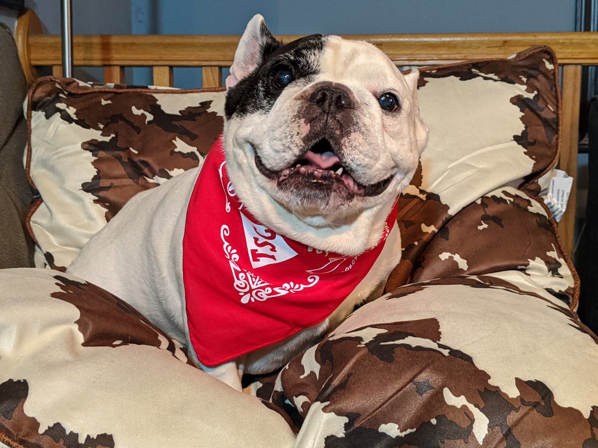 tractor supply pet vet coupon