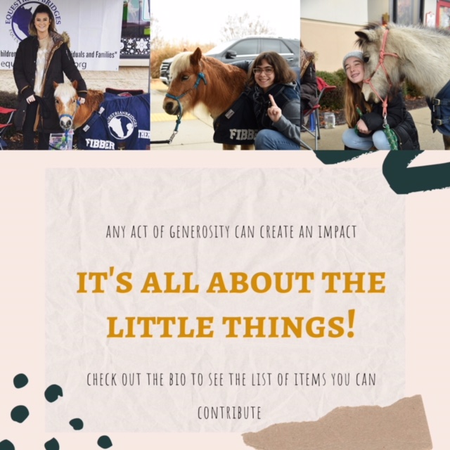 Join Equestrian Bridges for Giving Tuesday - mailchi.mp/equestrianbrid…