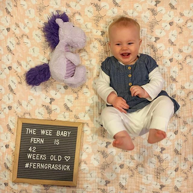 mgrassick's tweet image. This week, she's mostly been cruisin' #FernGrassick #42WeeksOld #PurpleHorsey ift.tt/2r5nNGg