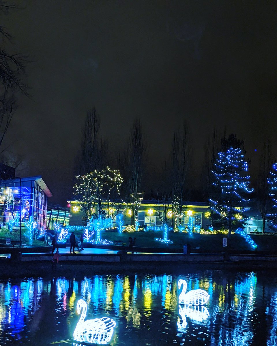 The Swans #vancity #vancouverviews #vancouversights #vancouvervibez #vancouverbc #vancouver_canada #christmas #christmaslights #lafarge #westcoast #westcoastlife #Vancouver #westcoastliving #britishcolumbia #reflections #canada #lake #swan #pnwonderland #pacificnorthwest