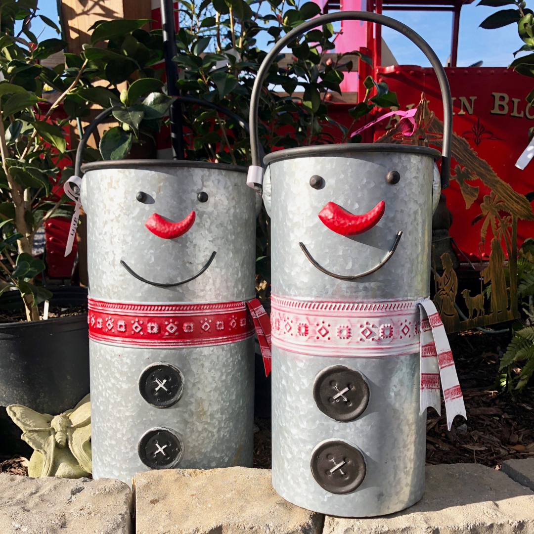 Adorable snowman buckets - perfect for gifting, plants & decorating ⛄🎄🎁

#snowmanbucket #snowmen #christmasiscoming #ilovesnowmen #decorativebuckets #holidaydecoratingideas #keepitlocal #christmasgifts #southportnc #brunswickbeachesnc #allinbloomsouthport