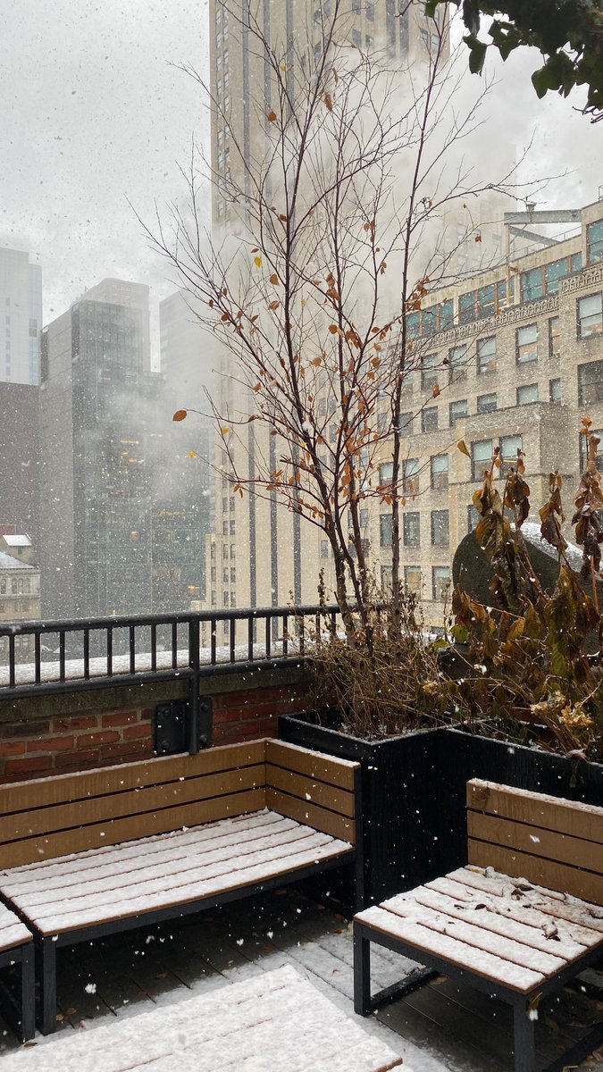 CrewCutsNYC's tweet image. Snow the week begins. #crewcutsnyc #crewcutspost #snowday