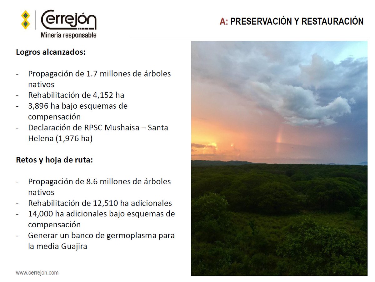inst_humboldt's tweet photo. ¡@CerrejonCol le apuesta al bosque seco tropical! 💪
Te invitamos a conocer su experiencia en el #ForoBosqueSeco
Transmisión: https://t.co/4hQq6PV7gF https://t.co/d7nOZT4L4K