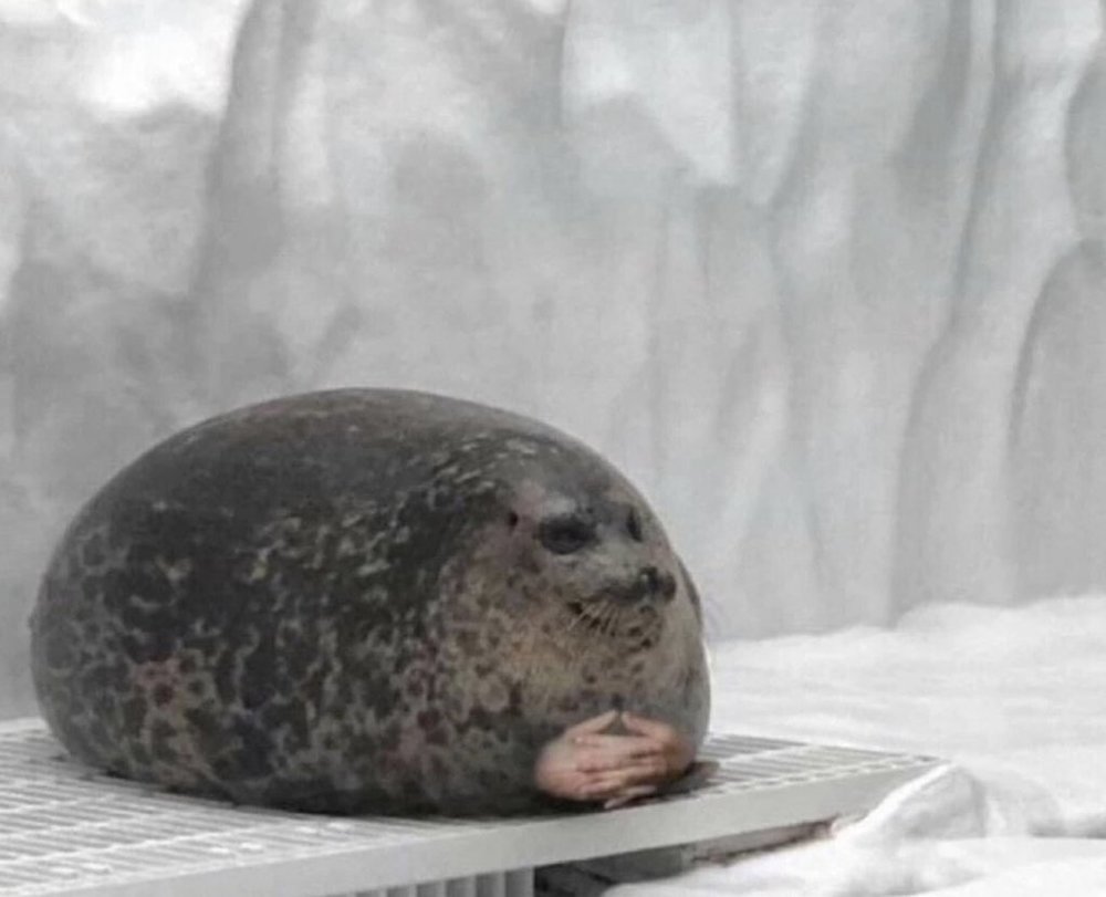 So the Engineers want us to just drill under the houses apparently...guess that's a thing now