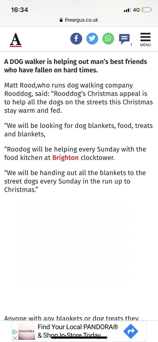 Matt Rood tweet media