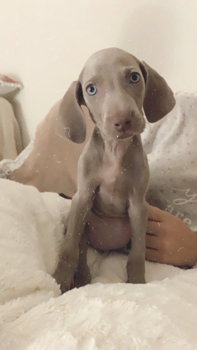 Bienvenida a casa ✨💫