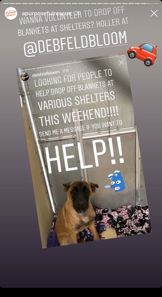 Call for some volunteers to drop off blankets at animal shelters in the LA area @Kindnesskru #EarpYourCommunity ❤️❤️❤️