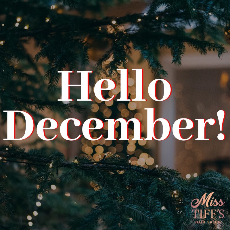 Our First Christmas!😁🎄
⠀
Make sure you book in ASAP! Appointments are going quick♥️✨
⠀
#Salisburybid #Salisburyindies #Christmasinsalisbury