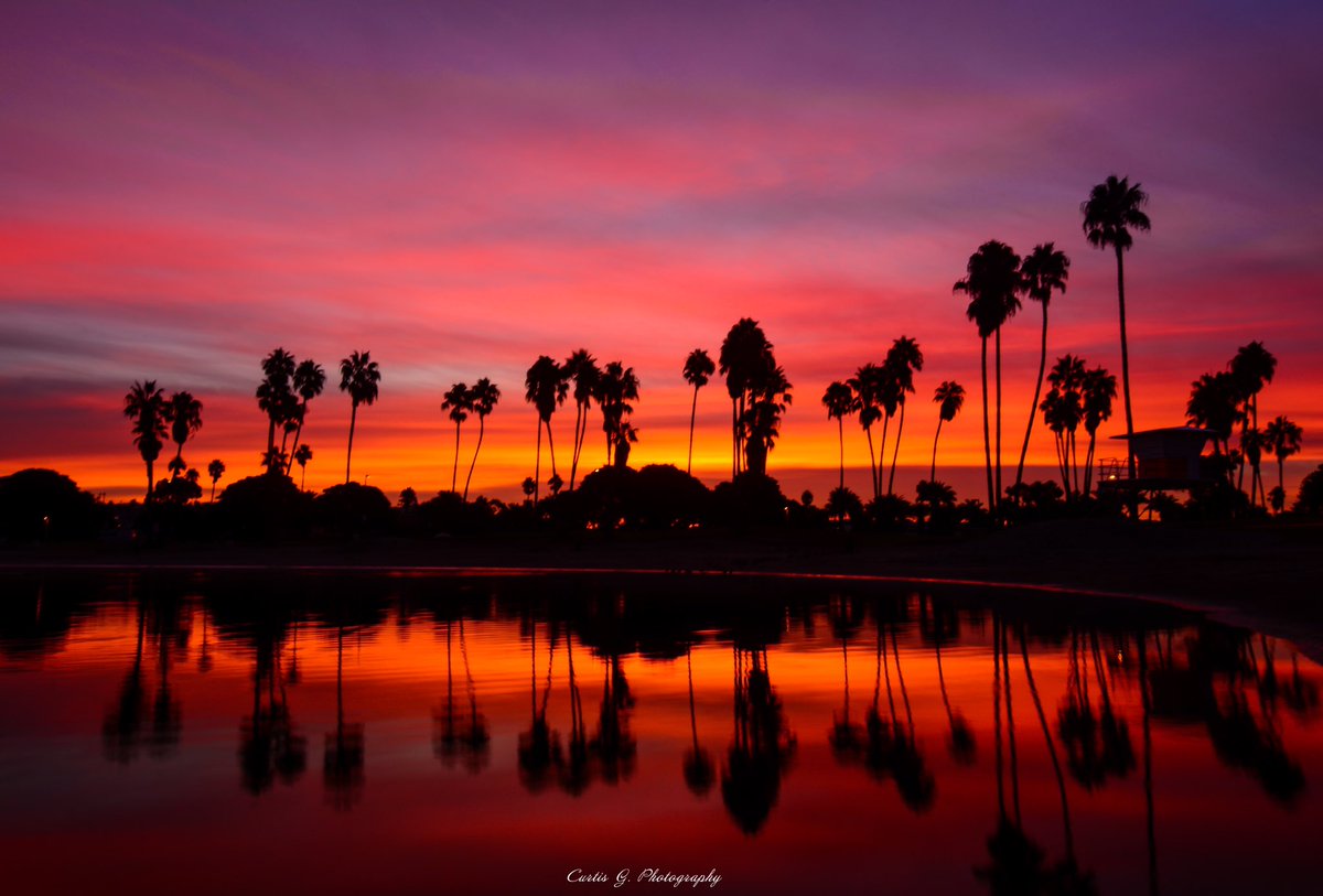 CurtisG_24's tweet photo. How’s your eyes feeling? To busy looking at the same thing and got a case of the Mondays!? Get some visual therapy with today’s sunrise #eyemedicine #visualthearpy #sandiego #sunrise #palmtrees https://t.co/Cs4K4lUkBo