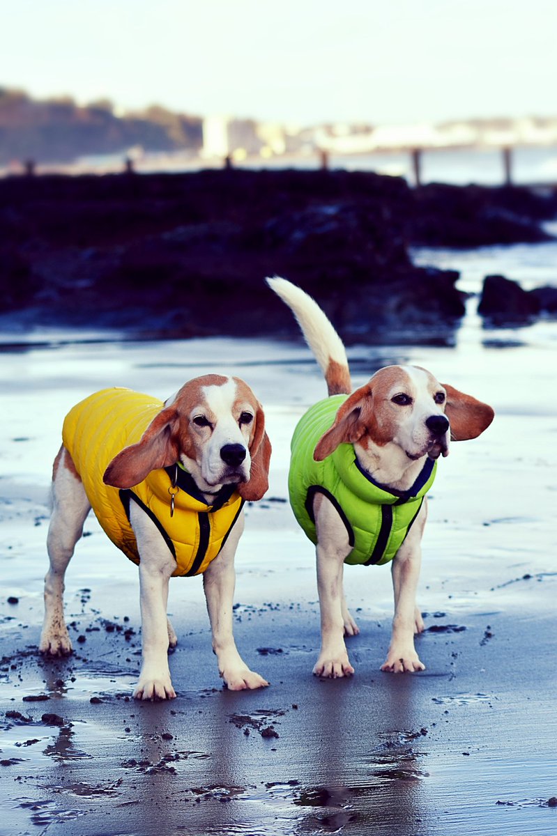 Both my boys 10 this year! Looking good 👌🏻