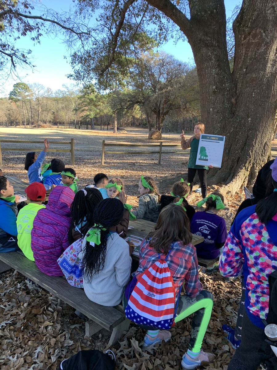FifthCamp's tweet photo. Can you name the types of trees found in a forest? These fifth graders can! https://t.co/VBCCMDS4O4