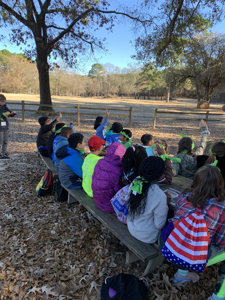 FifthCamp's tweet photo. Can you name the types of trees found in a forest? These fifth graders can! https://t.co/VBCCMDS4O4