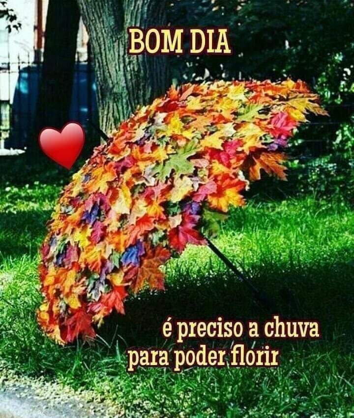 Germano Vital (@germanovital43) on Twitter photo 