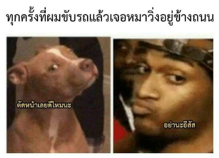 แฟนน้องยุน ♥ tweet media