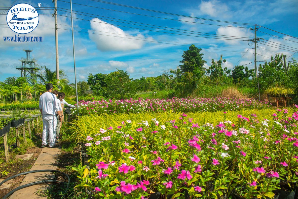 hieutour's tweet photo. FLOWER VILLAGE TOUR🌹🌷
Are you planning your trip to Vietnam? 
This Flower Village journey will promisingly take you to the most corners and worthy sights in Sa Dec Flower Village where you will be definitely overwhelmed by a spectacle of colors and perfumes. 
#hieutour #travel https://t.co/I3c0XTWCoQ