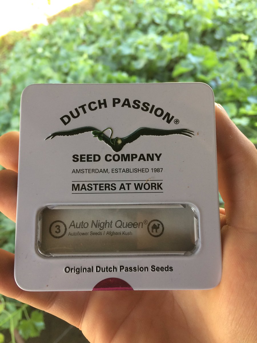 Sebaccf's tweet photo. Ready for the next crop.....
#AutoNightQueen
@DutchPassion_ 
👌🍁💨💚🇨🇱💪🌎🤝☀️🚀 https://t.co/rN40MIWZDa