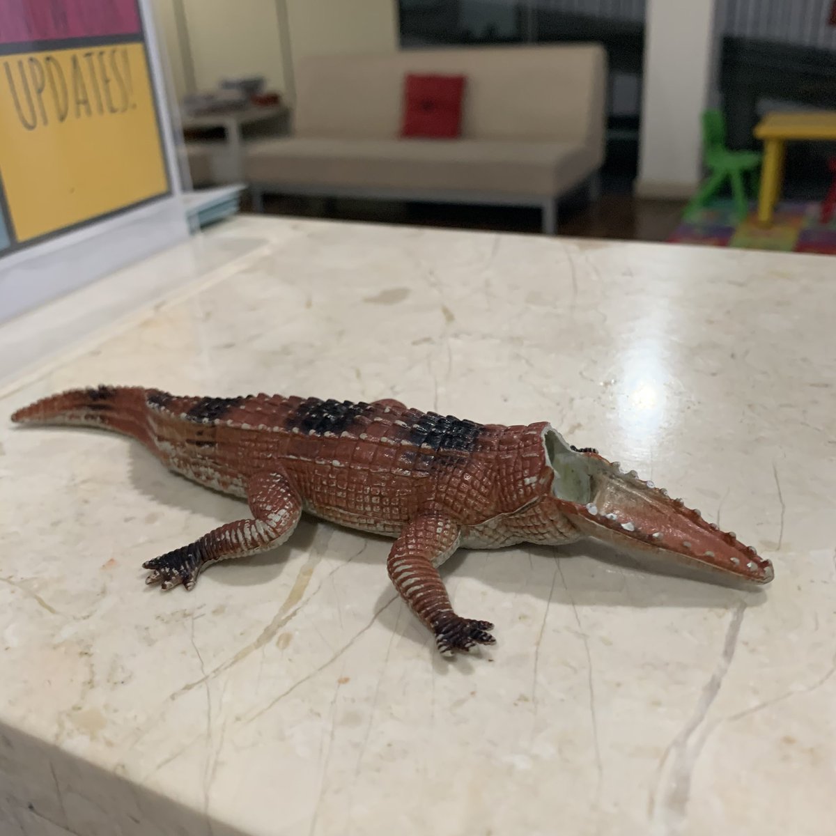 Telah ditemukan buaya yang termutilasi oleh anak tetangga