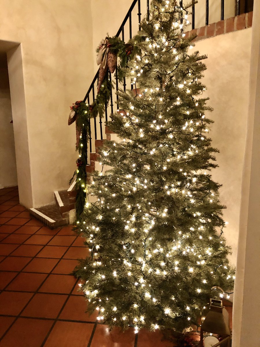 CarlyMayberry's tweet photo. Just my favorite ... lighted trees at Christmas time 🎄 The first two @pebblebeachresorts one outside the Lodge, the other inside ✨
.
#twinklelights #twinkletwinkle #magicaltrees https://t.co/B1cfj4L4NA
