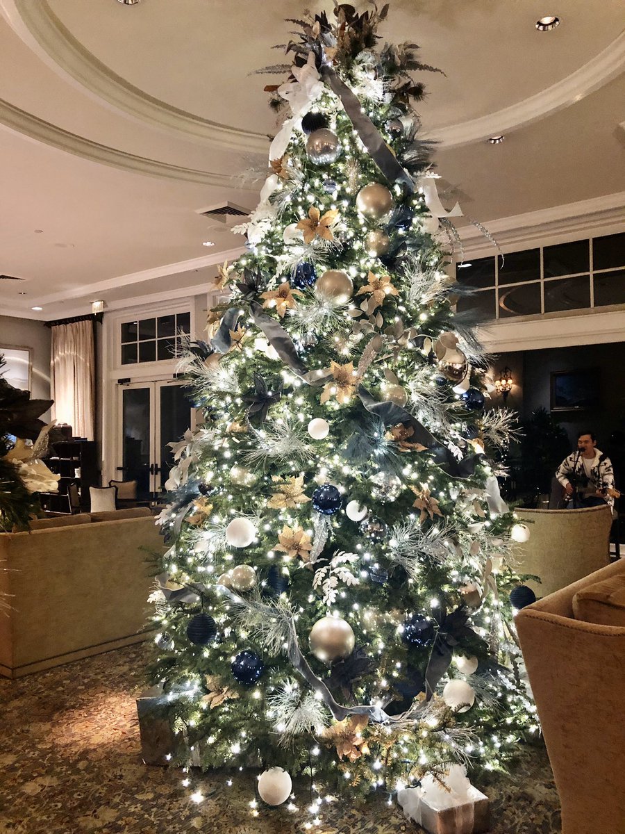 CarlyMayberry's tweet photo. Just my favorite ... lighted trees at Christmas time 🎄 The first two @pebblebeachresorts one outside the Lodge, the other inside ✨
.
#twinklelights #twinkletwinkle #magicaltrees https://t.co/B1cfj4L4NA