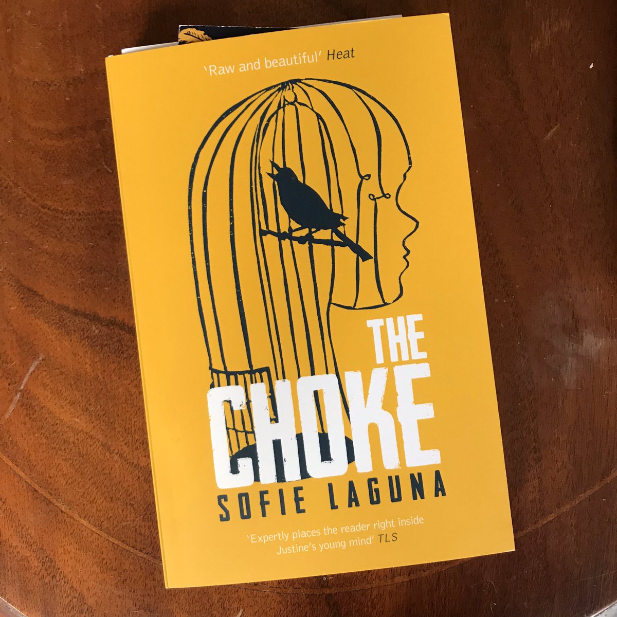 DistractedFlick's tweet photo. I’ve just finished reading this beauty and have so many feelings right now. Thank you so much @BookishChat, this is going to stay with me for a long time https://t.co/dziG9KMDgW