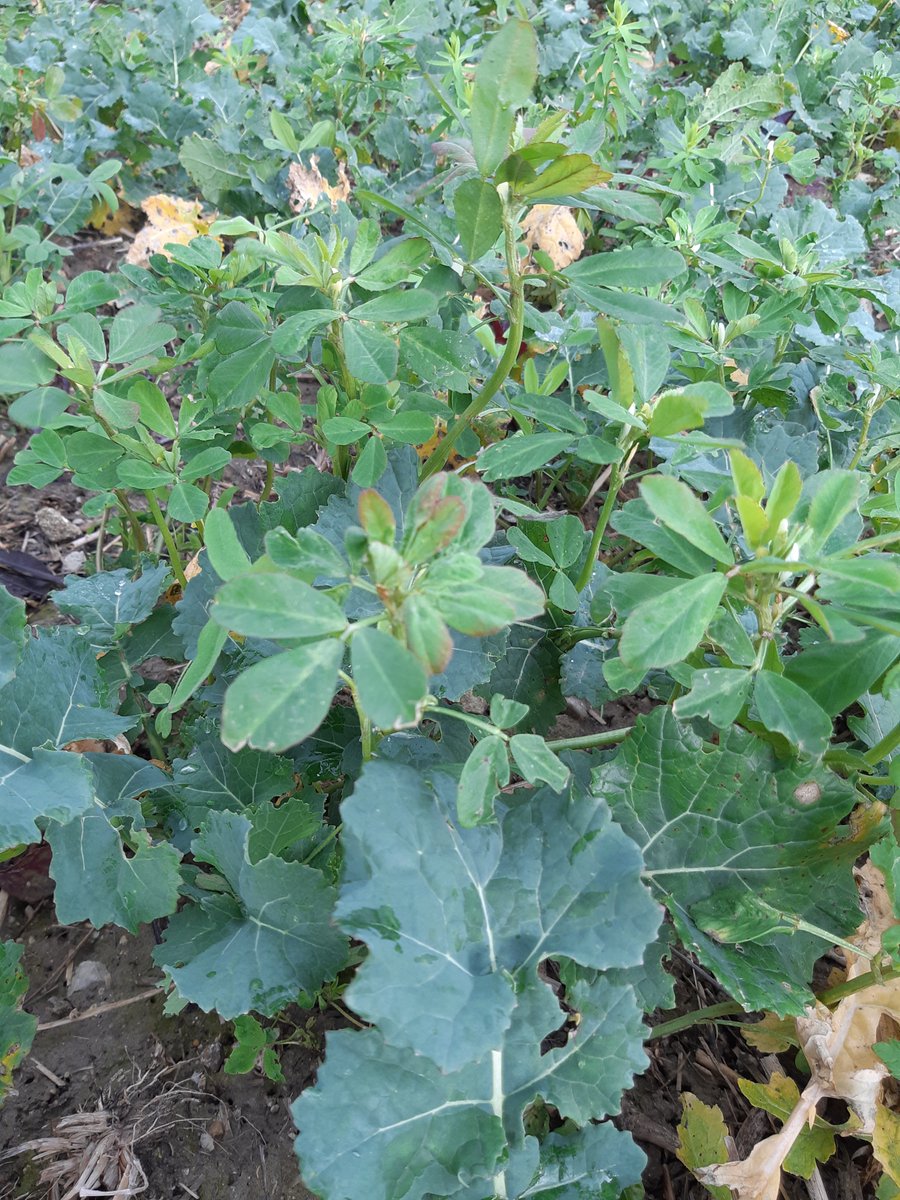 maxime touzaint tweet media