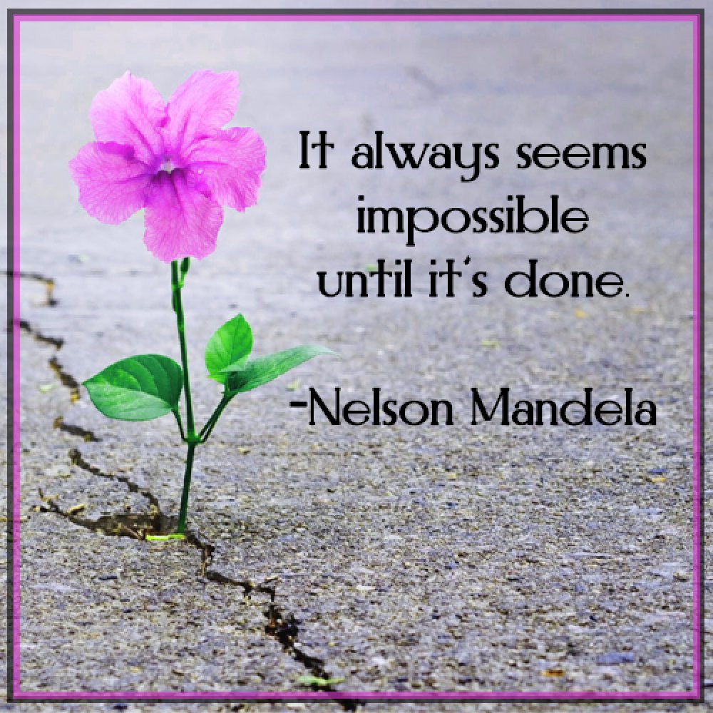 FlourishingShop's tweet photo. 💪💪
You Are So Close, Keep Going!

"It Always Seems Impossible Until It's Done."
- Nelson Mandela

https://t.co/GdqHmPcd60
🏆🏆🏆🏆

#impossible #motivation #keepgoing #soclose #dontstop #wontstop #perseverance #nelsonmandela #doit https://t.co/WlMJwsKaPA