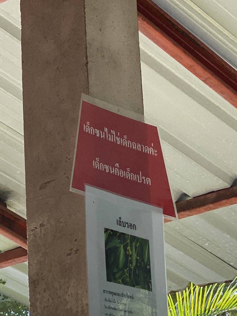 จีนจีนรีวิวจริงจริง tweet media