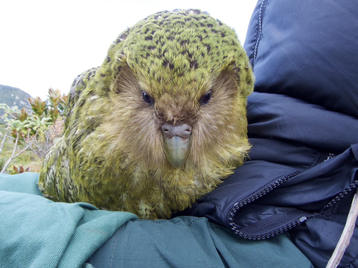 Dr Andrew Digby tweet media