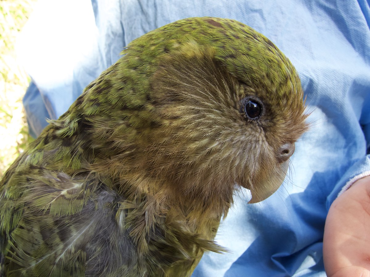 Dr Andrew Digby tweet media