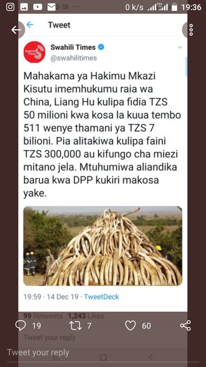 mtakujamadenge's tweet photo. Ukiwa mzarendo hii Nchi Utakuwa ujinga wako wakujitakia mbongo kafungwa miaka60 kwa kuua matembo Mchina kafungwa vimiezi 5 kwa kuua Matembo mengi https://t.co/14moN6pBfS